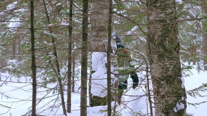 Wall Mural - A group of travelers with backpacks on their shoulders walks through a winter forest covered with snowdrifts in a natural park. Slow motion.