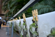 Canvas / Photo Prints Hanging In A Row For Display In An Exhibition With The Support Of Wooden Clips
