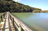Fototapeta Sypialnia - Waitangi river bridge, New Zealand.