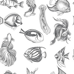 Vector hand drawn sketch Card with aquarium fish. Discus, Scalaria, Zanclidae, Paracanthurus hepatus.