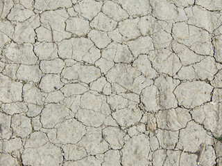 Dry and cracked ground