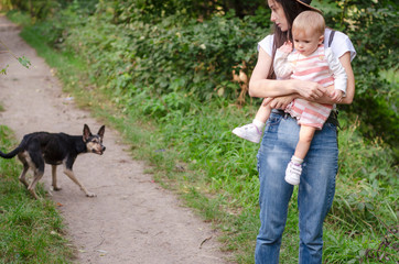 Mom keeps the child tightly pressed against her, saving from the attack of a wild dog. The concept of aggressive street dogs that attack people