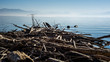 Huge amount of driftwood at lake Constance after a storm