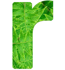 letter r with texture of fern leaves, font Helvetica Word