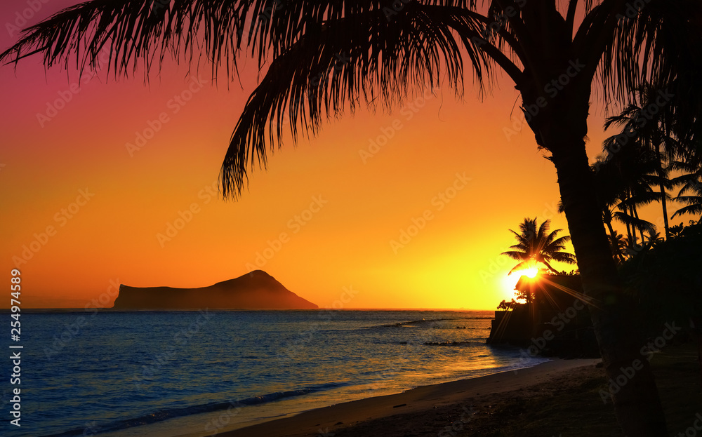 Sunset in Oahu with ocean and palm trees - obrazy, fototapety, plakaty 