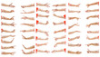 © indysystem - A multiple image set of caucasian asian female hand gestures isolated over white background. Carefully cutout by pen tool and include clipping path.