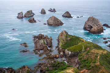 Nugget Point on South Coast of Otago, New Zealand 1