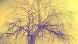 Fototapeta Dmuchawce - Lonely tree without leaves in fog or mist lit by bright orange sun god rays . 3d illustration. Travel and camping concept