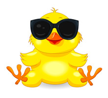 Little Yellow Chick In Black Glasses. Little Yellow Chicken With Sunglasses. Chick On A White Background. Cartoon Chick
