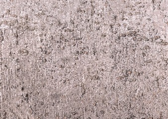 Wall Mural - Brown wood bark with natural textured pattern