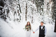© Volodymyr - the pair hold hands. wedding in winter. boy and girl in the winter forest.