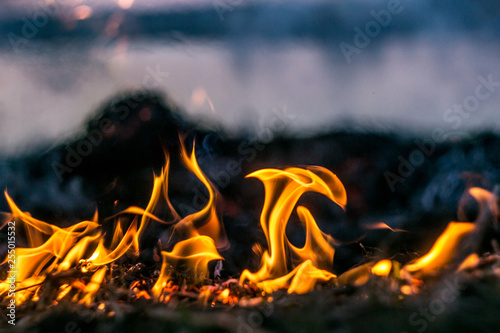 Cuadros en Lienzo The flames of the fire burning the herb in the evening field, turning into coals and ashes with smoke