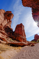 Wall Mural - san lorenzo canyon starburst