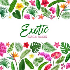 Wall Mural - tropical layout page design