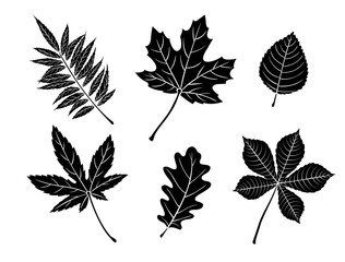 Wall Mural - Black fall leaves silhouettes