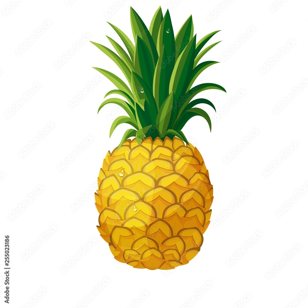 pineapple icon - obrazy, fototapety, plakaty 