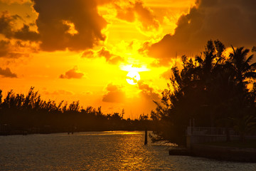 Wall Mural - Tropical Sunset