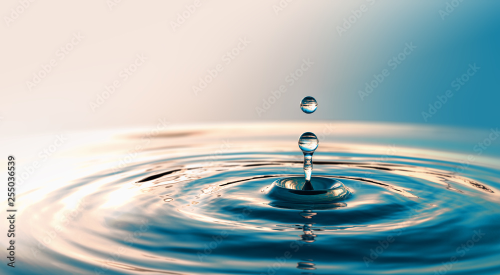 Clear Water drop with circular waves - obrazy, fototapety, plakaty 