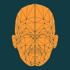Wall Mural - human face low polygon. wireframe mash head shape consisting of connected dots and lines. abstract h