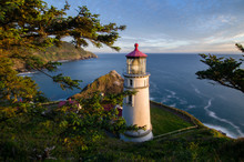 Lighthouse On The Oregon Coast