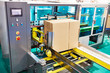 Automatic molder of cardboard boxes