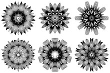 Set Of Pattern Of Mandala . Vector Illustration. Modern Decorative Floral Color Mandala. Decorative Cicle Ornament. Floral Design. Black White Color