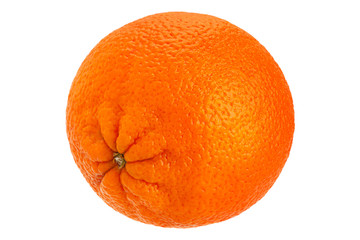 Ctrus fruit orange closeup