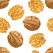 Walnut Seamless pattern on white background. Vector illustration of nuts in cartoon simple flat style.