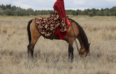 Wall Mural - A traditional Turkish women's outfit. 