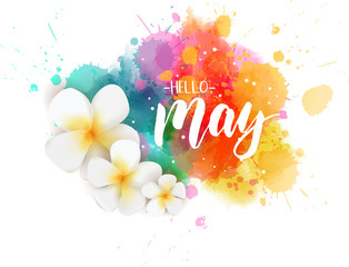 Wall Mural - hello may - floral spring concept background