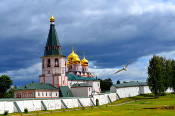 Seagull at the walls of the monastery before the storm