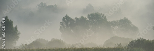 Foto  foggy morning on a meadow in a rural hilly region