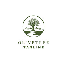 Olive Tree Logo Designs With Creeks Or Rivers Symbol