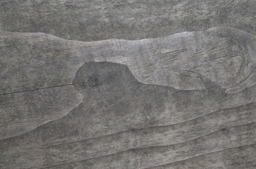 Wood background