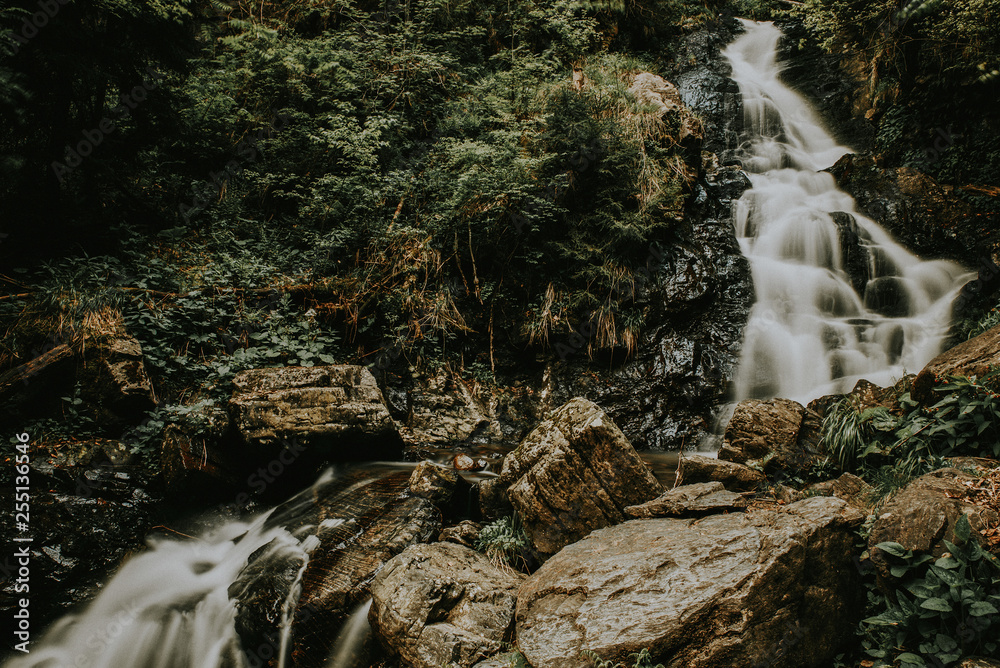 Mountain waterfall on the rocks covered with moss in the forest Stock ...