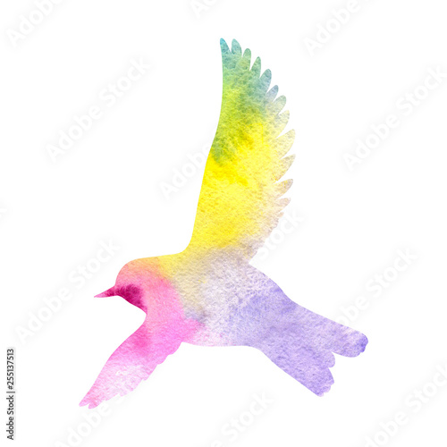 Watercolor flying bird