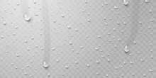 Drops Of Water, Dew Falls. Rain Or Shower Drops Isolated On Transparent Background. Realistic Pure Water Droplets Condensed. Vector Clear Vapor Bubbles On Window Glass Surface For Your Design.