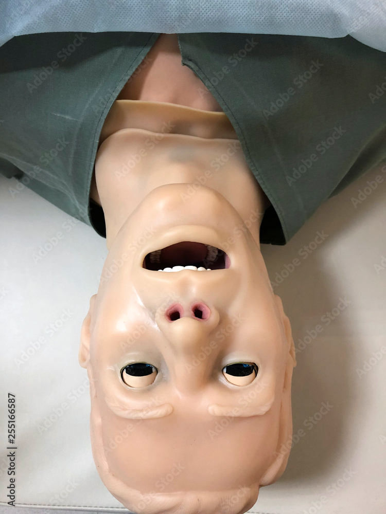 Realistic training simulator dummy mannequin doll for medical procedure ...