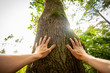 Personal perspective of a man touching a tree