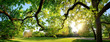 Leinwanddruck Bild - Tranquil panoramic scenery in a beautiful park