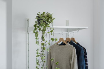 Canvas Print - White clothes shelf with plant