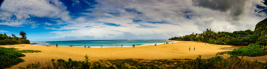 Wall Mural - Long sandy beach, ots of sky