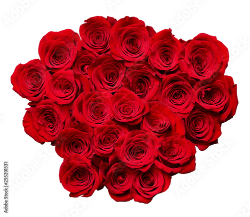 flower rose petal blossom red nature beautiful background