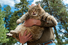 Man Carrying Cat Outdoors