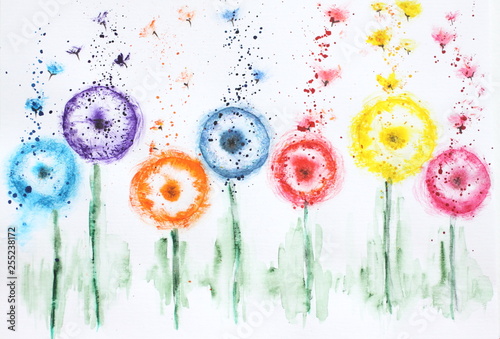 Watercolor picture flowers dandelions Billede på lærred
