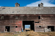 © Lauren Grabelle - Cowboy with his dog standing near barn