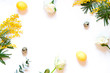 Floral Easter frame with mimosas and painted eggs on the white background. Top view. Copy space