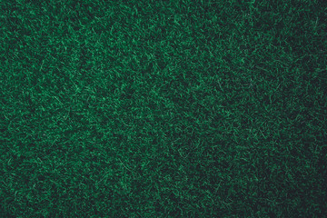 Green grass texture background. nature dark green tone background. Top view with copy space.