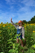 © Claudia Evans  - Mädchen hält Hand nach oben, steht im Sonnenblumen Feld mit blauem Himmel