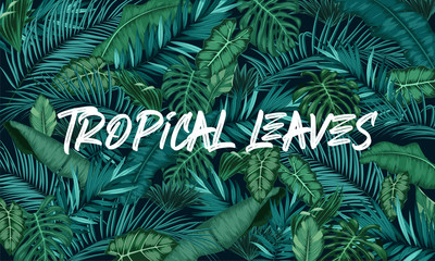 Wall Mural - Tropical leaves forest background